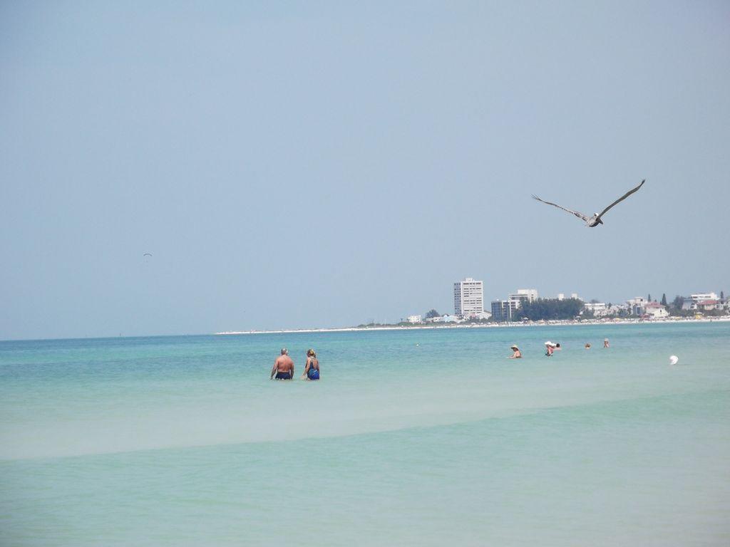 1+1 Large Condo Sarasota Extérieur photo